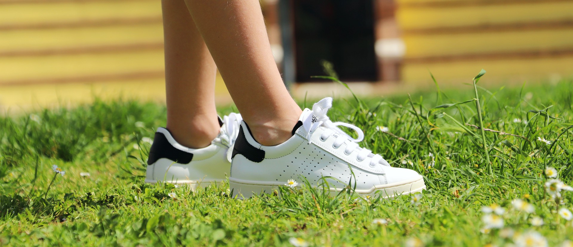 IMG-BANNER